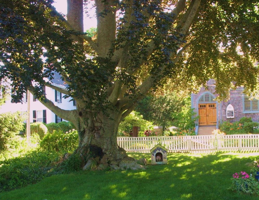 The 1720 House Bed and Breakfast Vineyard Haven Εξωτερικό φωτογραφία